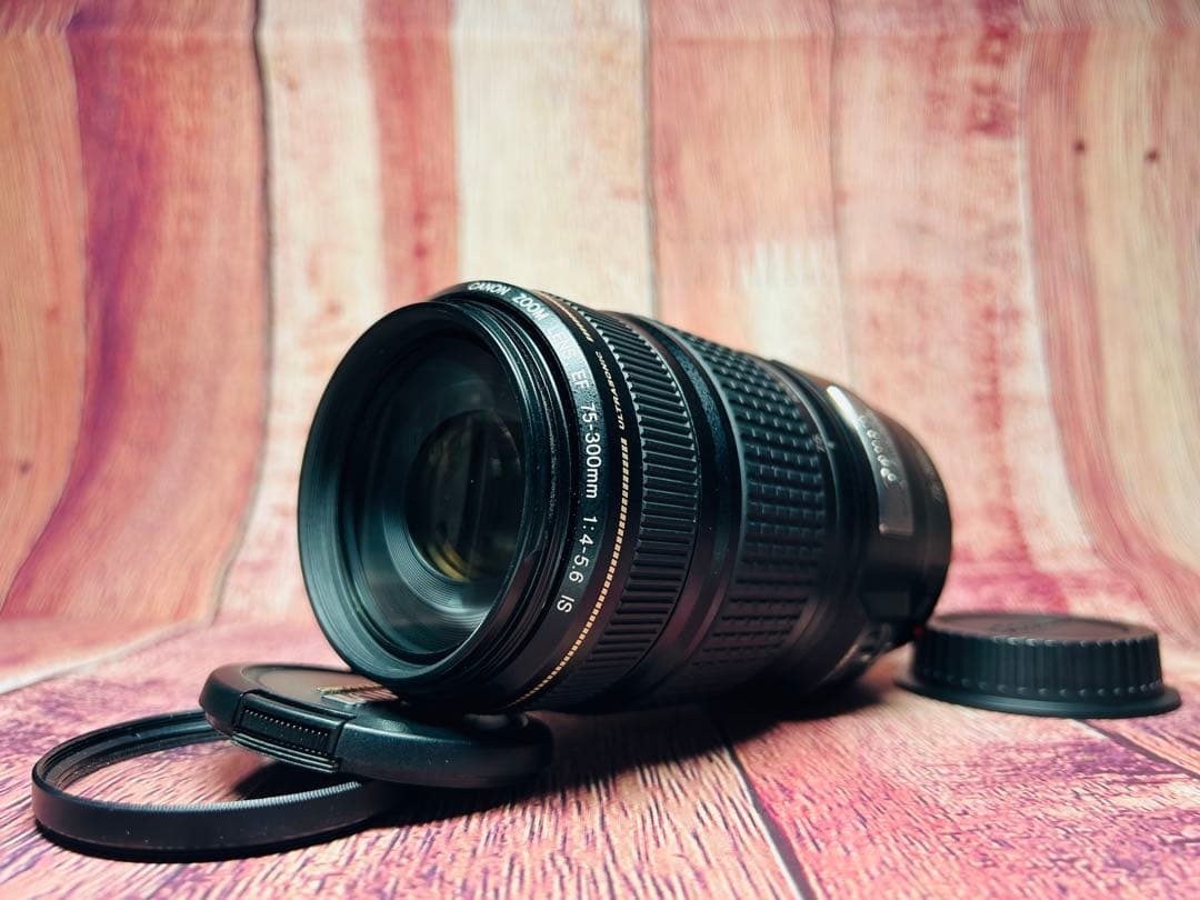 Canon キャノン IMAGE STABLIZER 75-300mm Canon EF 75-300mm f/4-5.6 is USM Telephoto Zoom Lens for Canon SLR