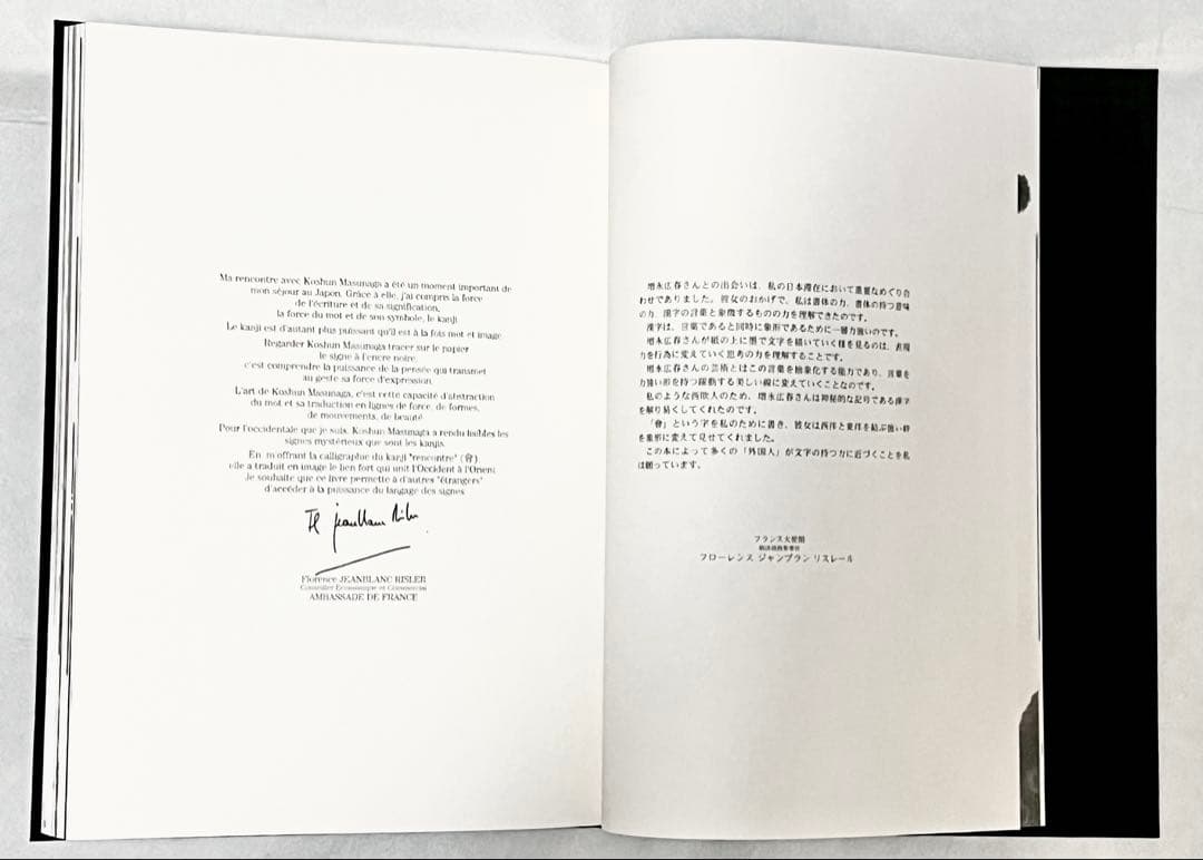 エディションナンバー入り】長野オリ書道家 増永広春氏作品集 走墨