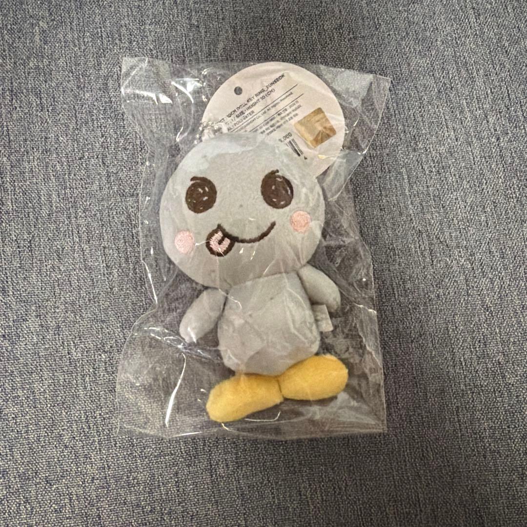 RIIZE ウンソク ソンヨンドリ 10cmドール キーリング - メルカリ