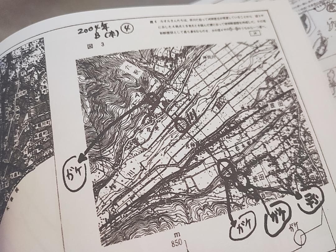 駿台 岡田先生 地理配布プリント 書き込み無し 河合塾 鉄緑会 SEG 東進