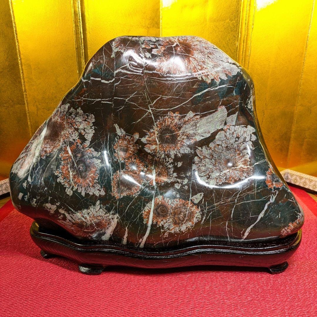 菊花石 岐阜県根尾谷産9.8㌔ 鑑賞石 観賞石 水石 盆石 天然石 置物