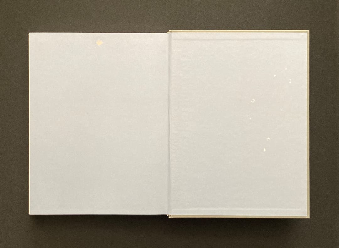 No.696《おすすめ》『（伊文）イル・ラガッツォ　少年の美と性愛について』