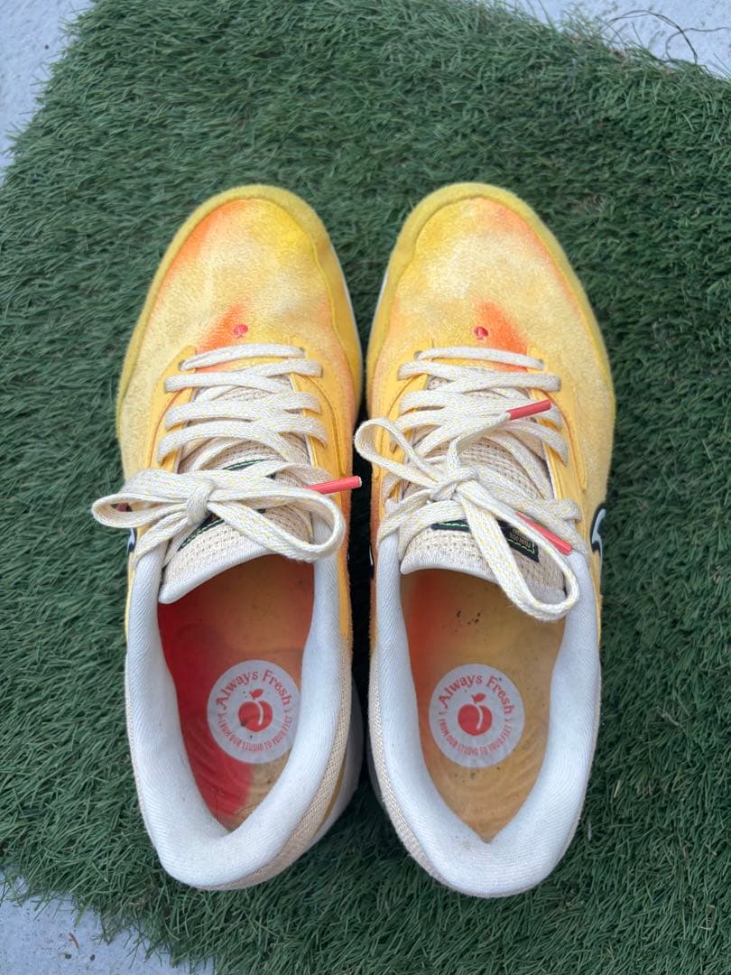 Nike エアズームインフィニティツアー NEXT% NRG 28.5cm