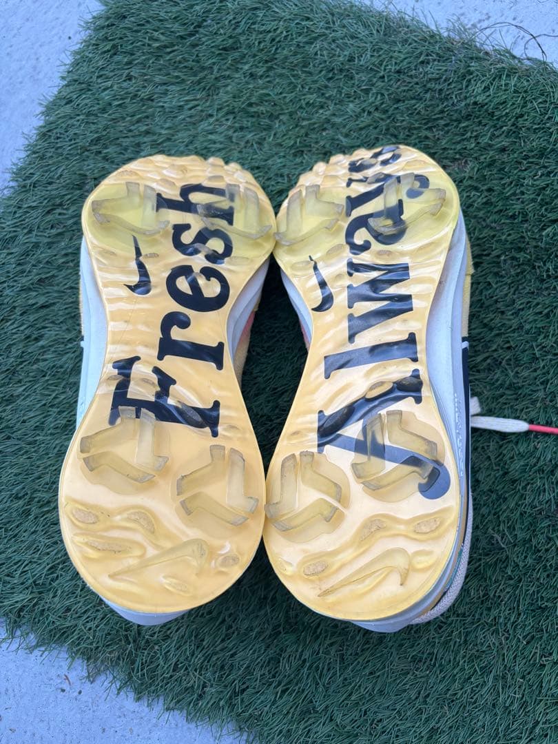 Nike エアズームインフィニティツアー NEXT% NRG 28.5cm