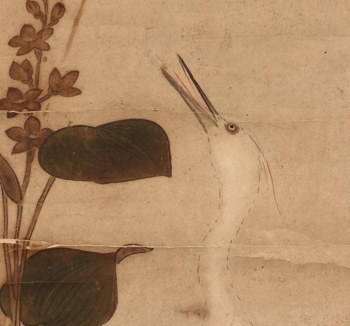 名品】☆狩野永徳 『蓮華白鷺図』 検） 狩野尚信 狩野探幽 豊臣秀吉