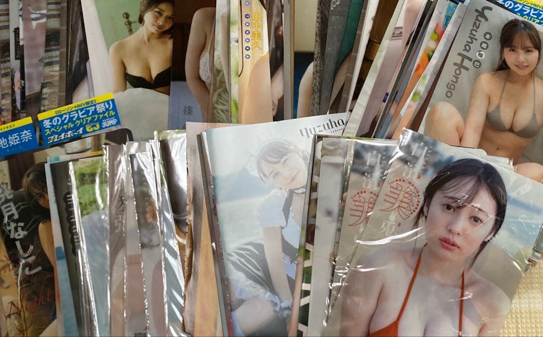 グラビアアイドル　クリアファイル Amazon.co.jp: 頓知気さきな グラドル グラビア アイドル グッズ