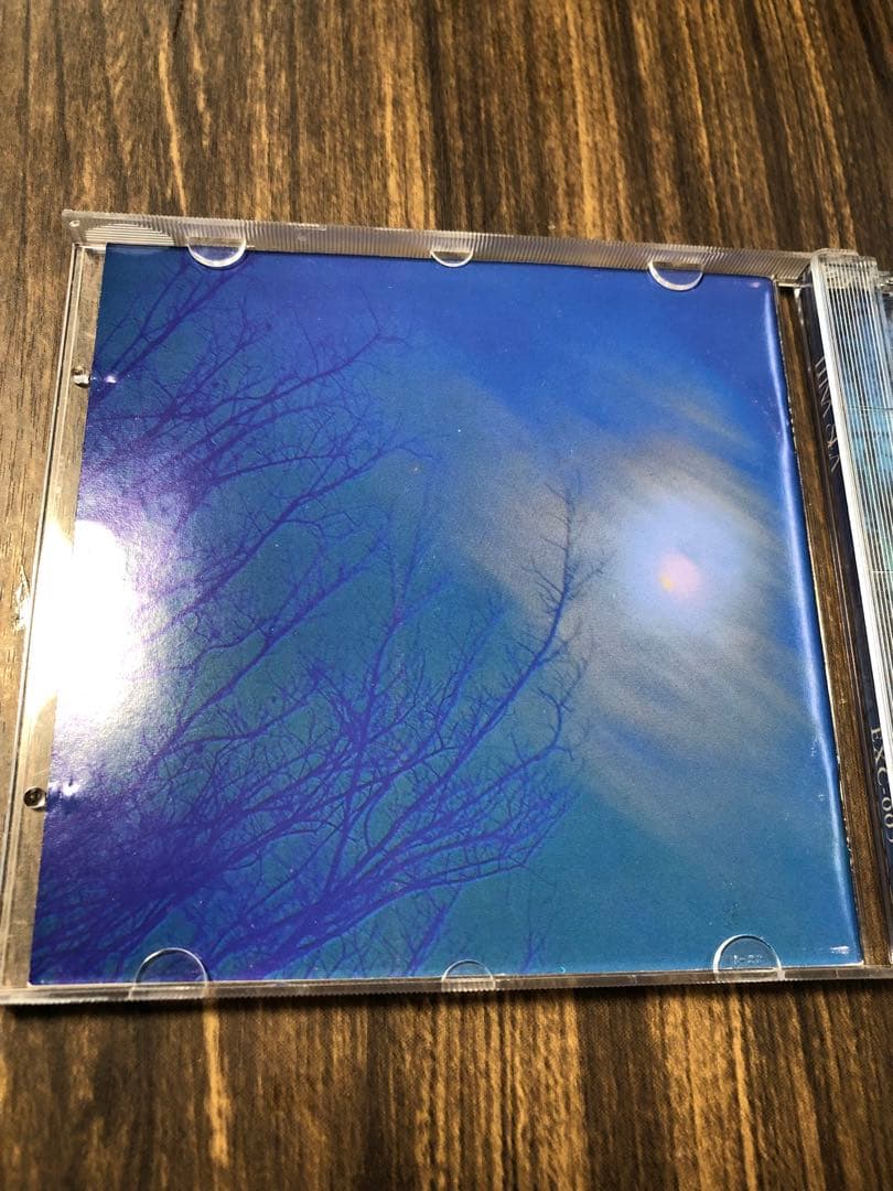 LUNA SEA インディーズ　初回限定写真集付