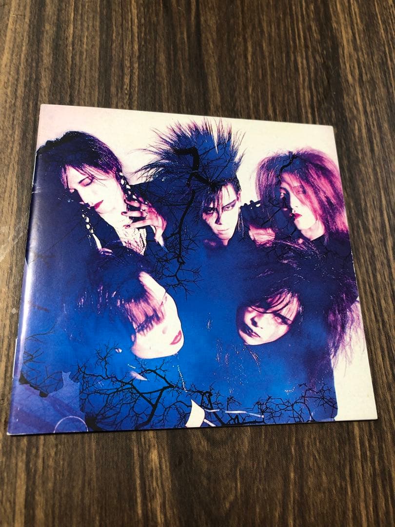 LUNA SEA インディーズ 初回限定写真集付 - メルカリ
