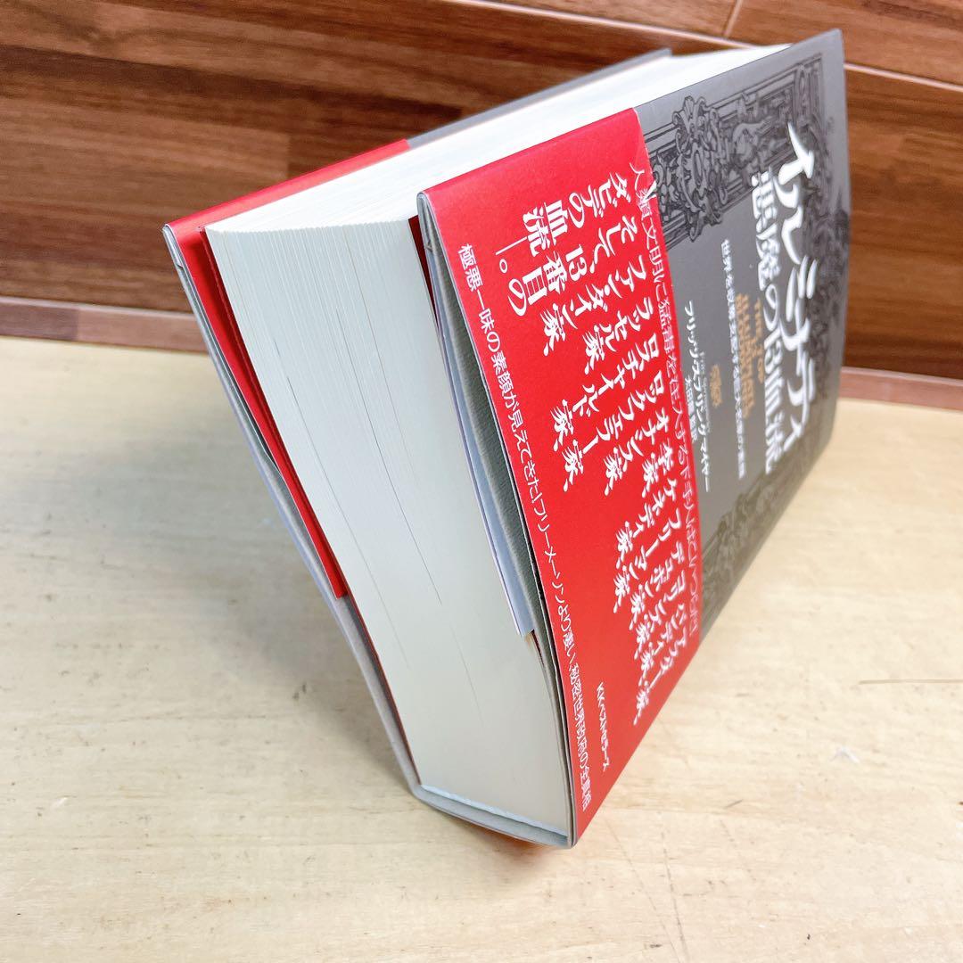 イルミナティ悪魔の13血流 : 世界を収奪支配する巨大名家の素顔