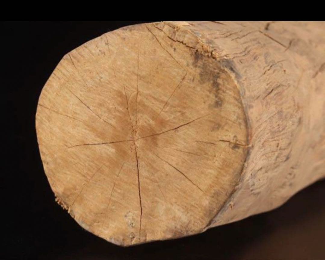 激レア】200万円 白檀原木 - メルカリ