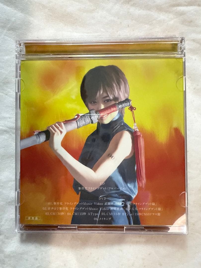 非売品 AKB48 飛翔入手 プライングゲット カスペルスキー 峯岸みなみ