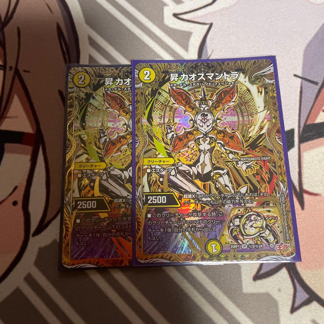 昇カオスマントラ フォーチュンカオスマントラ シークレット シク