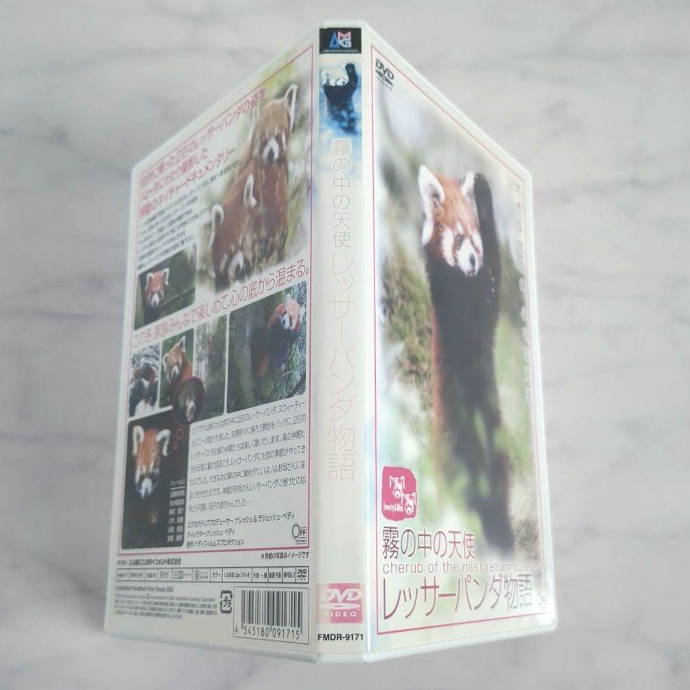 霧の中の天使 レッサーパンダ物語/DVD《レンタル落ち》希少