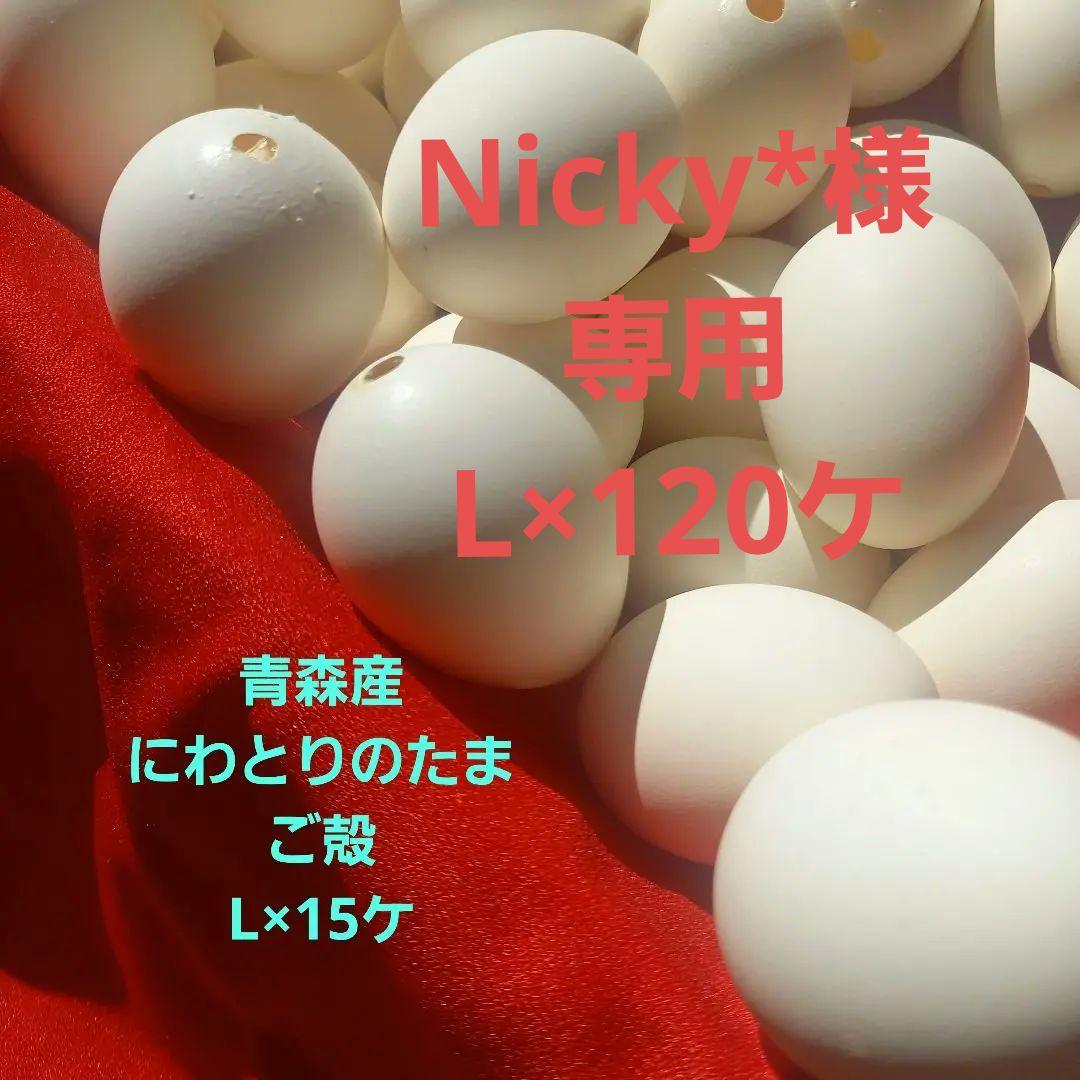 青森産　にわとりの白たまご殻L×120ケ 青森産 にわとりの白たまご殻L×120ケ 青森産 にわとりの白
