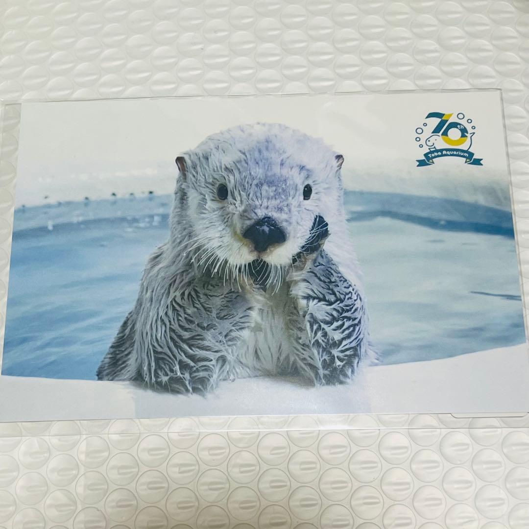 鳥羽水族館 70周年 ラッコ キラ メイ ポストカード 2種 - メルカリ