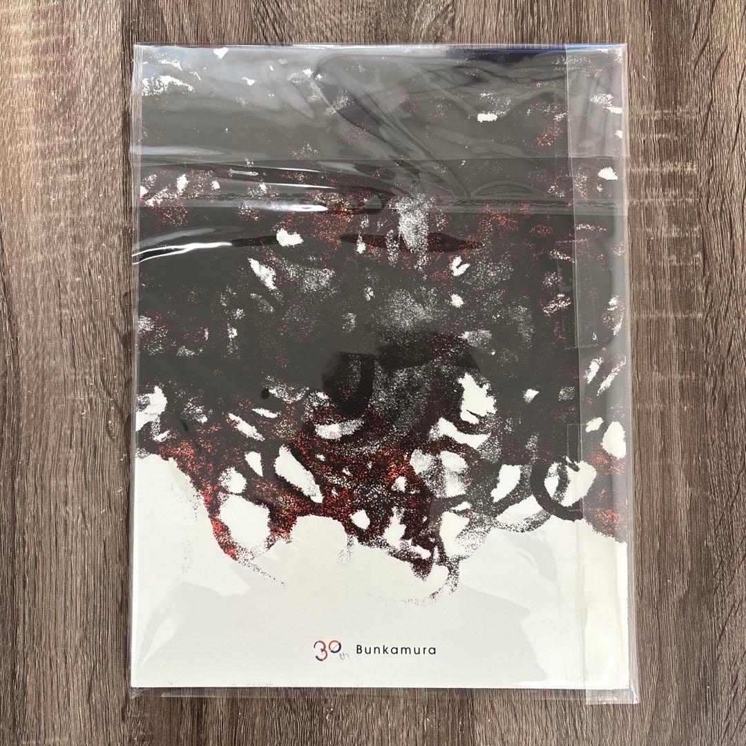 三浦春馬 罪と罰 パンフレット 美品 - メルカリ