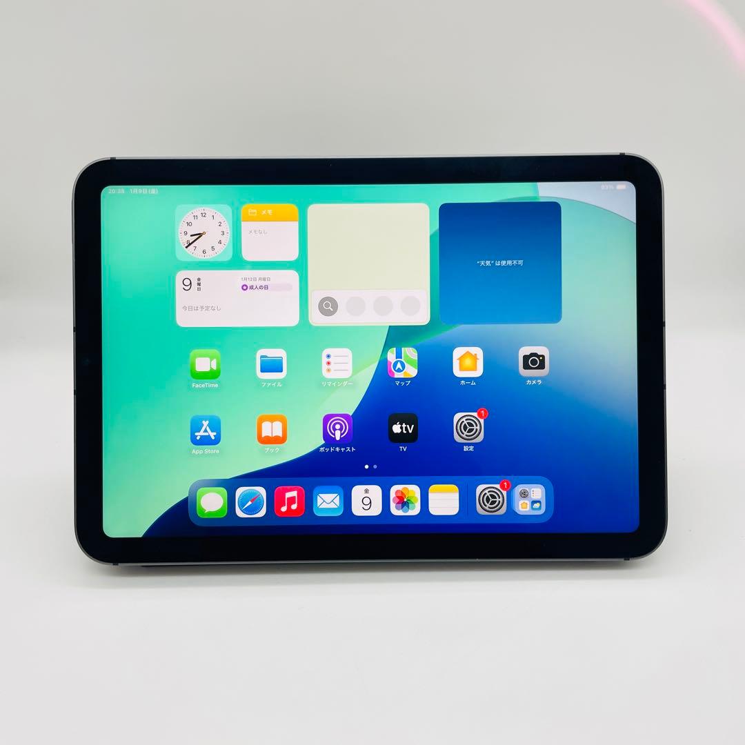 iPad mini 6 256GB SIMフリー カバー付き Apple iPad mini 8.3インチ 第6世代 Wi-Fi+Cellular 256GB 2021年秋