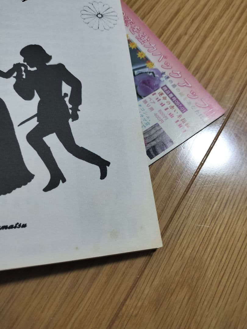 池松江美(辛酸なめ子)　自主制作本　グラビア中心/マンガ中心　2種セット