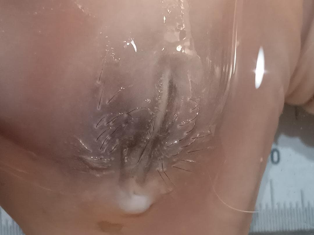 【学術標本】種名ニホンジカ　胎児エタノール浸漬標本（♀）　頭胴長約２４５ｍｍ