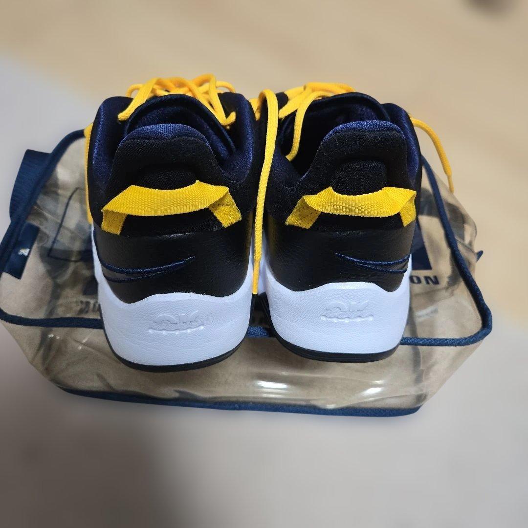 PG5 by you 28.5cm Nike バスケットボールシューズ バッシュ