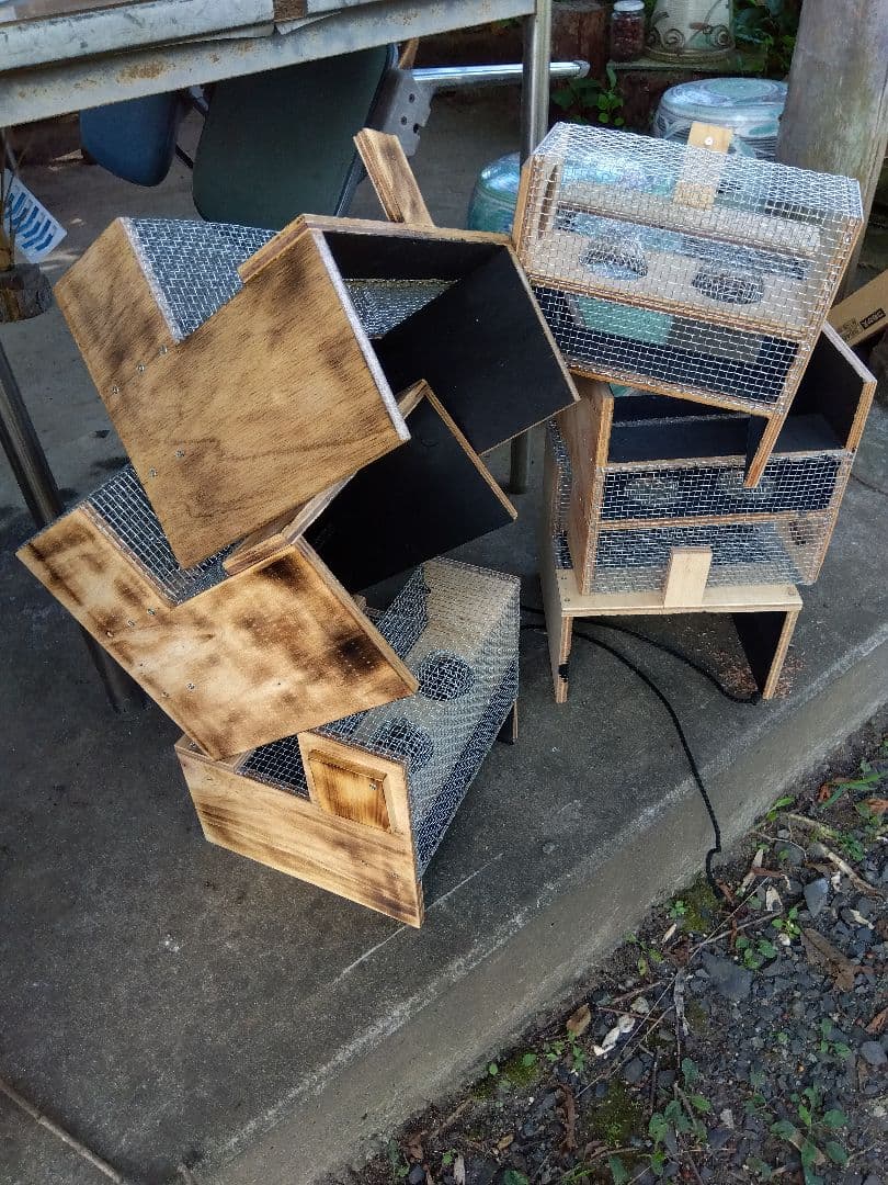 スズメバチトラップ 2個売り 別名 スズメバチ捕獲器 スズメバチ生捕り