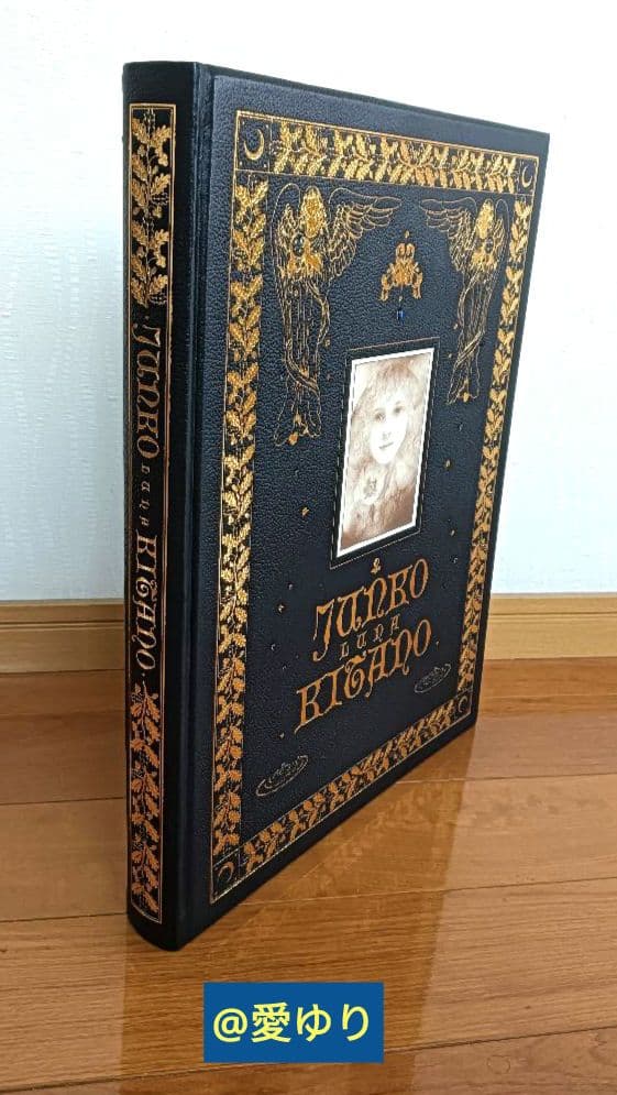 特大♢豪華限定♢羊革装版『きたのじゅんこ自選画集』天然宝石15石