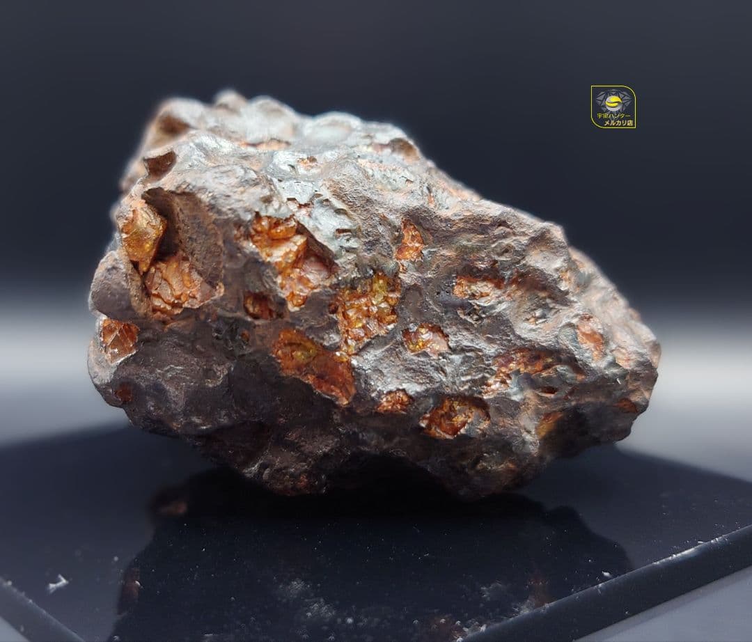 隕石 イミラック パラサイト 126.4g Imilac ⭐⭐⭐