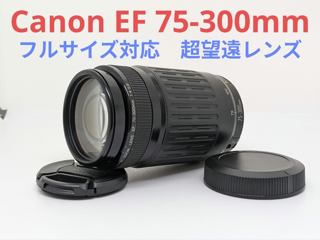 dai【超望遠レンズ】Canon EF 75-300mm Amazon.com : Canon 75-300mm F4-5.6 III EF Lens (Non-USM) : Camera