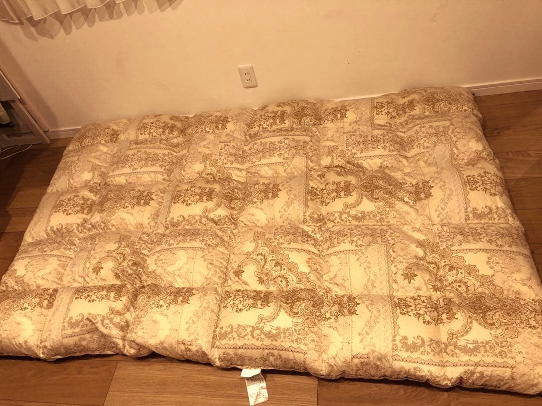 東京西川 超長綿100% ハンガリー産マザーグースダウン93% 1.2k 一層