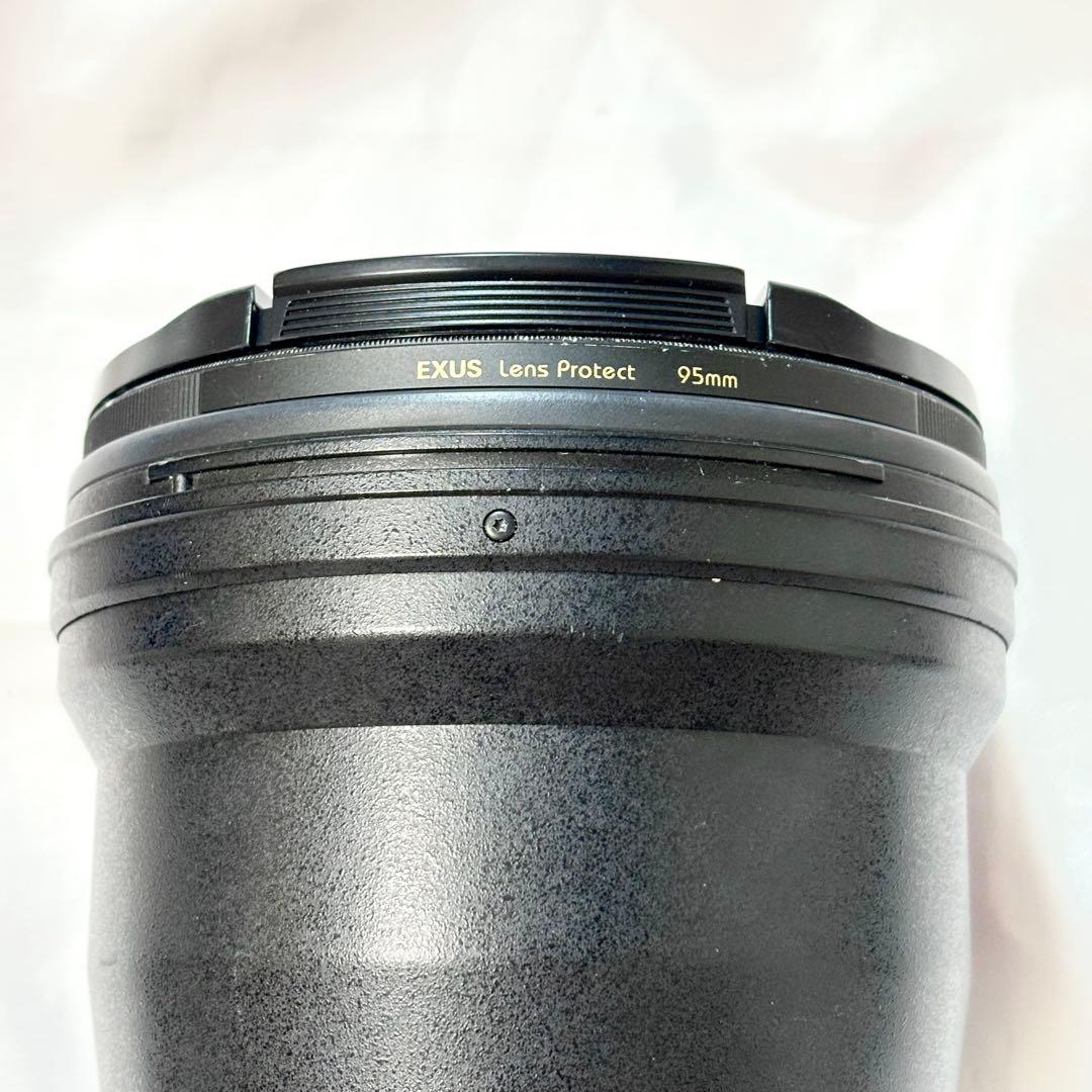 TAMRON SP 150-600mm F/5-6.3 キヤノン用 超望遠レンズ