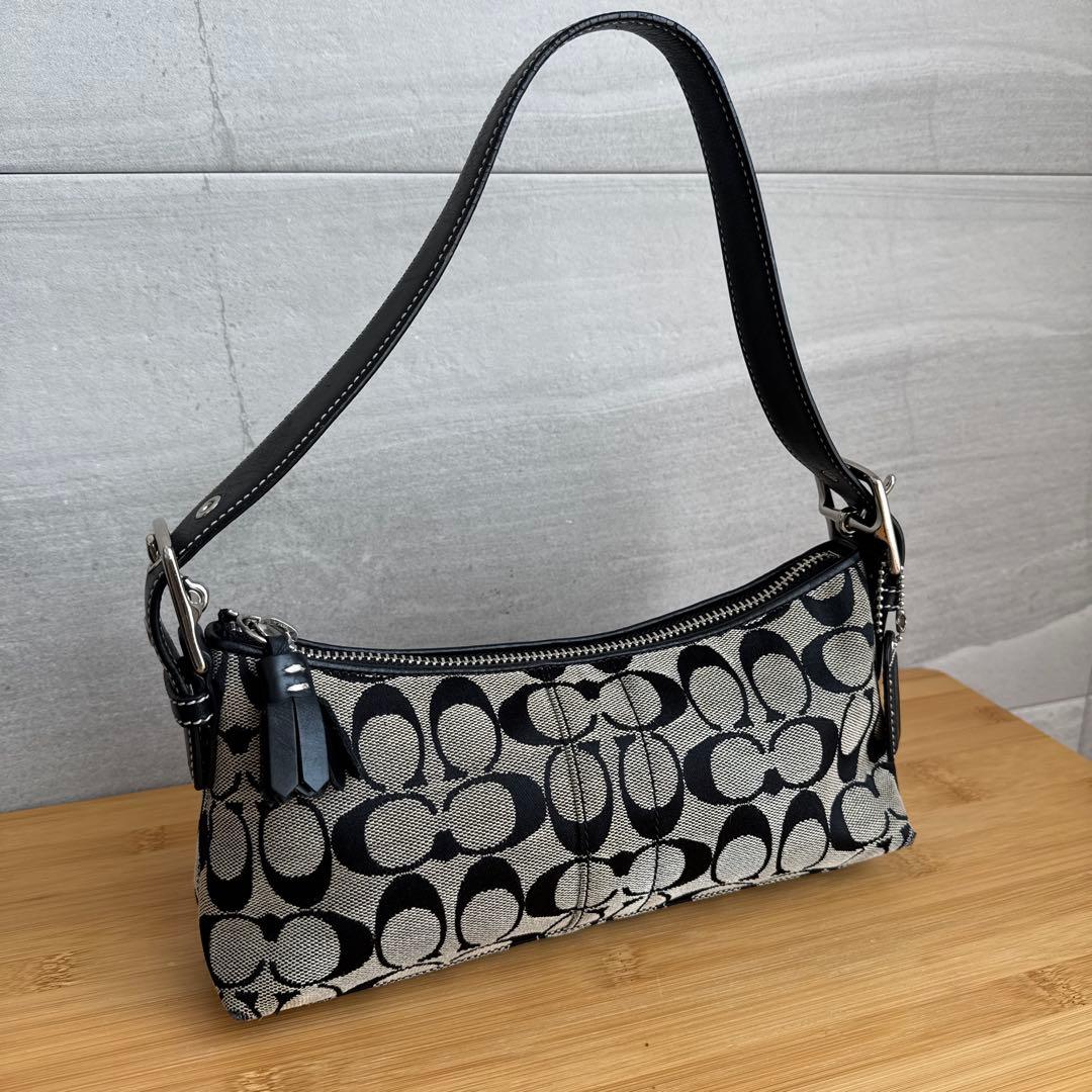 COACH アクセサリーポーチ シグネチャー ワンショルダーバッグ 肩掛け