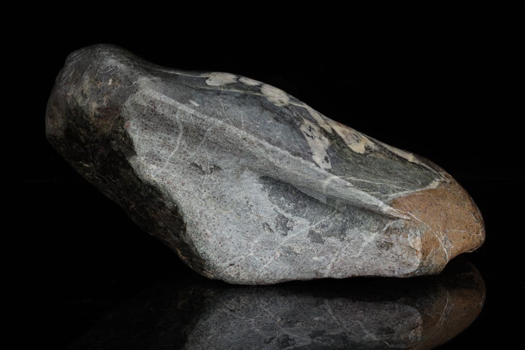 h*o様 菊花石 サバ菊 一輪 紋石 台座付 4.1kg 鑑賞石 自然石 原石