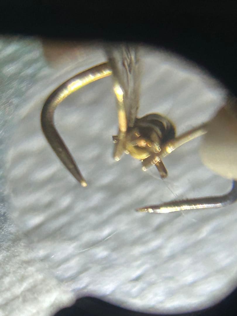 レア 蝶々 K18 刻印 1.8ｇ　ブローチ