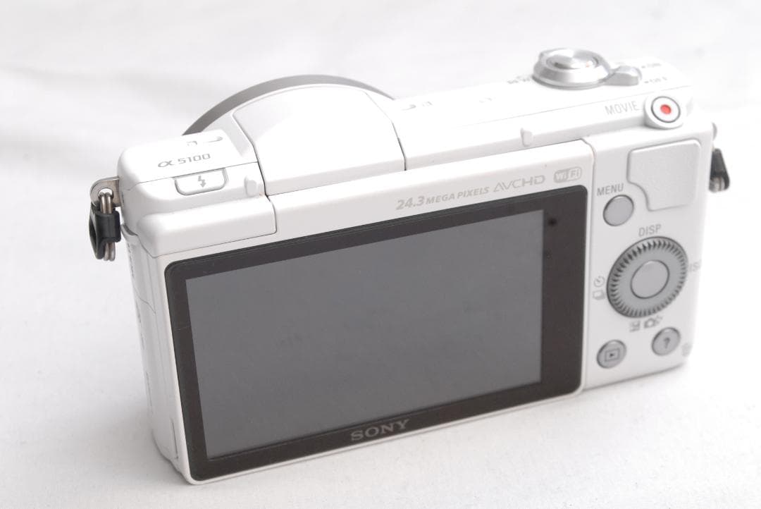 SONY @ 5100/E 3.5-5.6/PZ 16-50mm (良品）