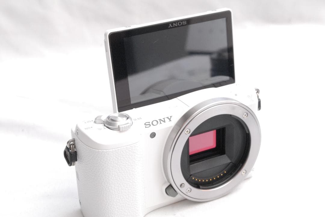 SONY @ 5100/E 3.5-5.6/PZ 16-50mm (良品）