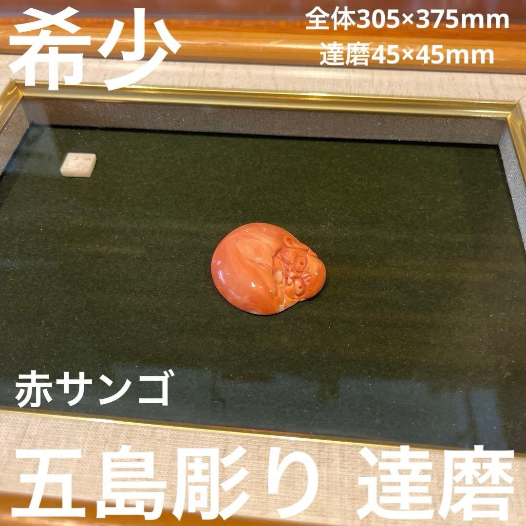 h*o様 希少　赤サンゴ　アンティーク　縁起物　達磨 IMG_30051.jpg?v=1650271300&