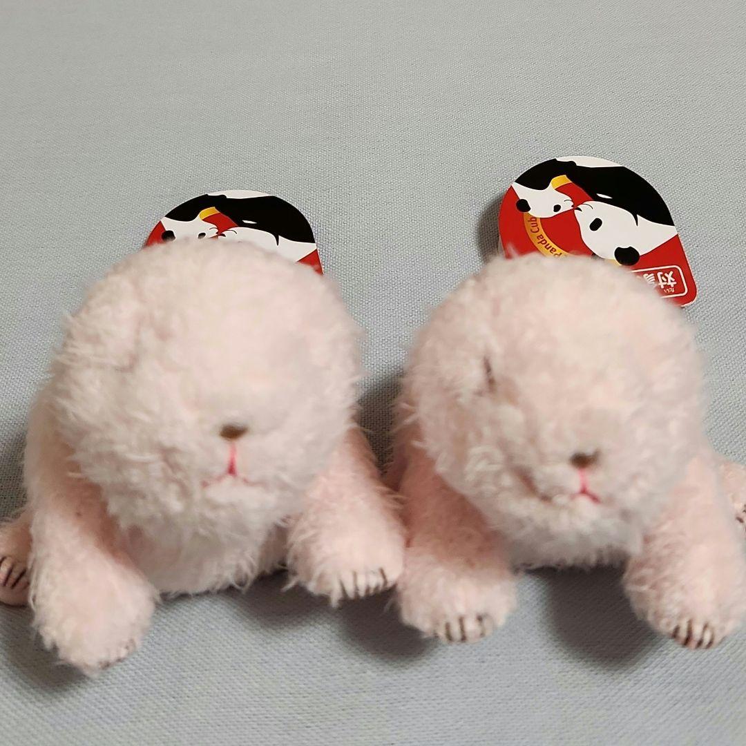 上野動物園 ほんとうの大きさのパンダの仔 シャオシャオ レイレイ