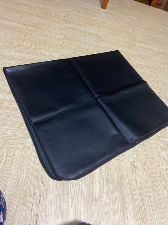 ワールドレップサービス 高濃度ラジウムシート お買得！