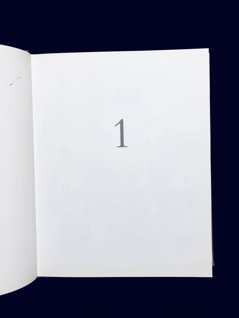 【お値下げ】An Autobiography リチャード・アヴェドン写真集 美品