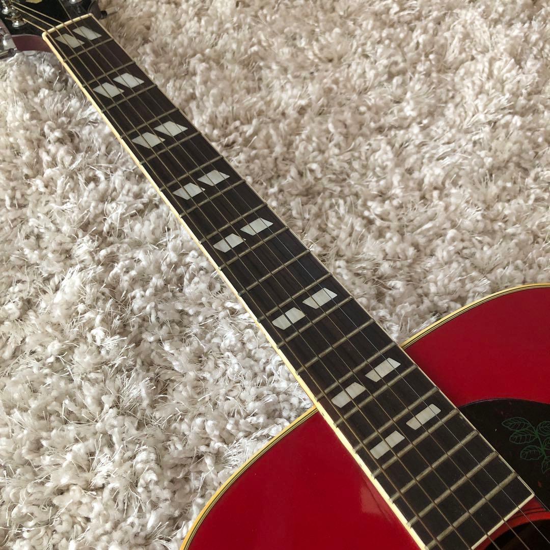 Morris WD-25 Humming Bird アコースティック アコギMorris