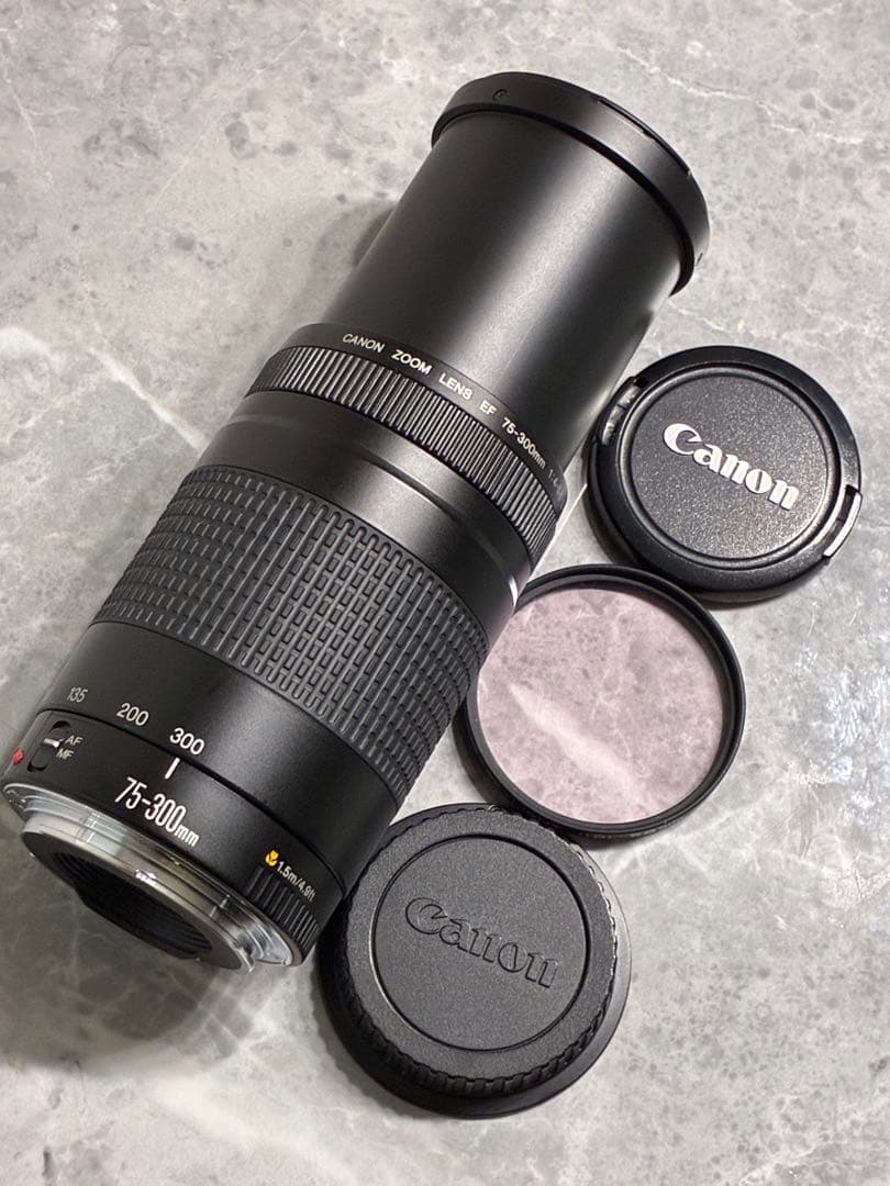 ⭐️美品⭐️Canon EF 75-300mm F/4-5.6 II 望遠レンズ
