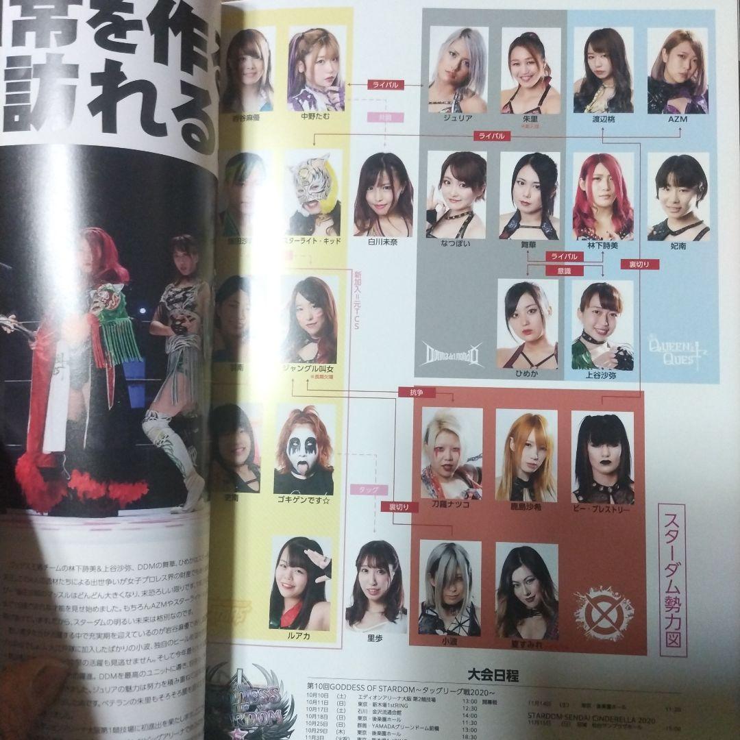 スターダ写真集、ビキニング、BiKiniing11、12、ビギニング