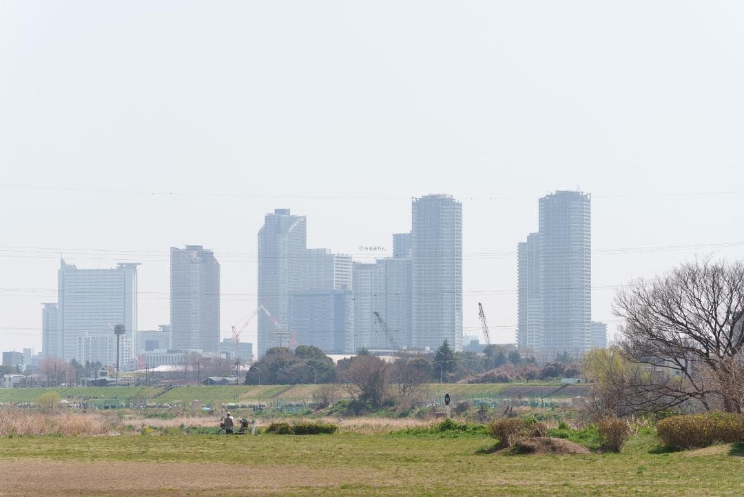 新品同様！超望遠ズーム！TAMRON 70-300mm F4.5-6.3