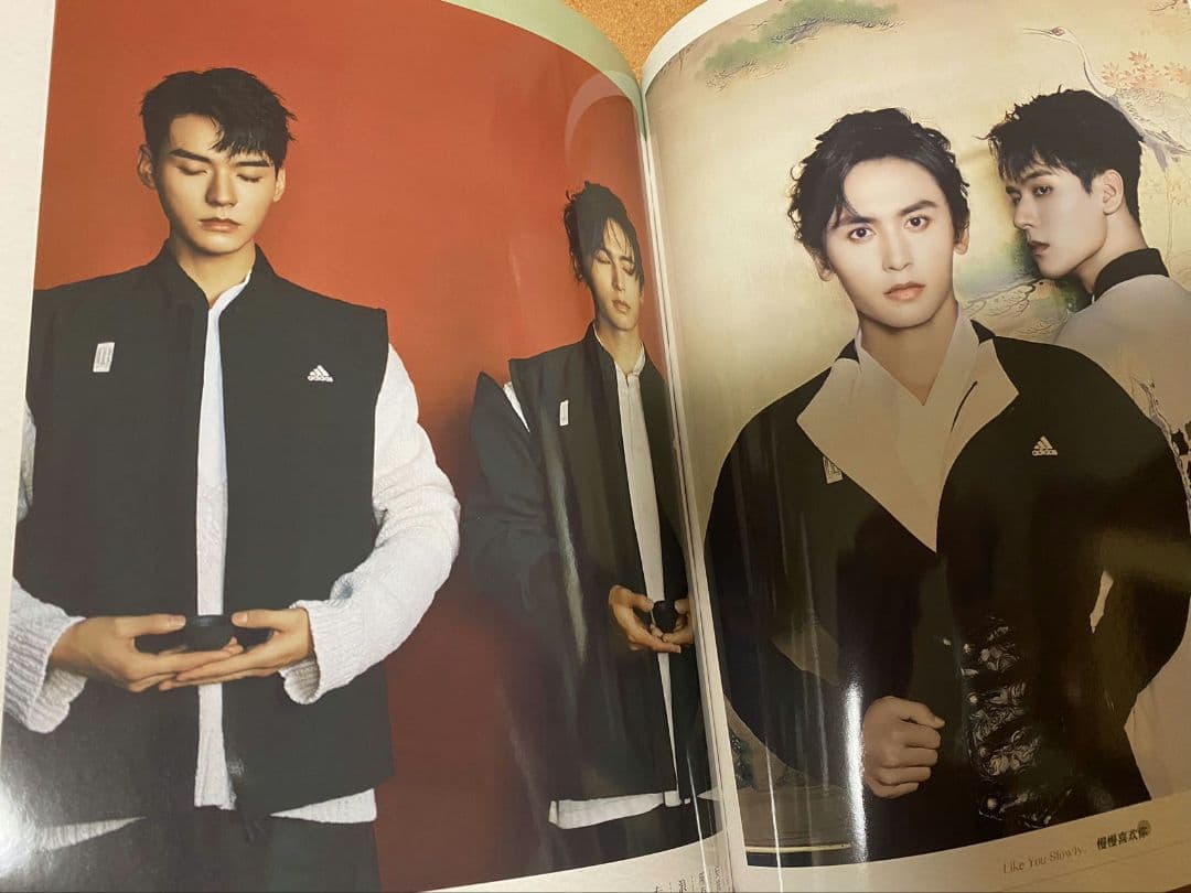 山河令 ゴンジュン・張哲瀚 BAZAAR 写真集 - メルカリ