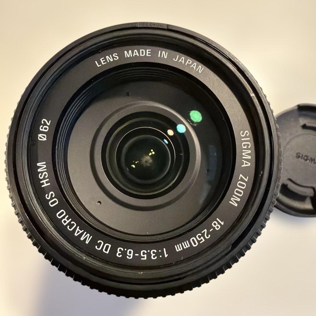 美品 Nikon SIGMA ズームレンズ 18-250mm - メルカリ