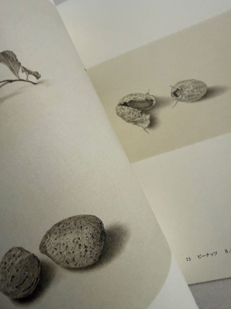 野田弘志 鉛筆・水彩画展 作品図録 - メルカリ