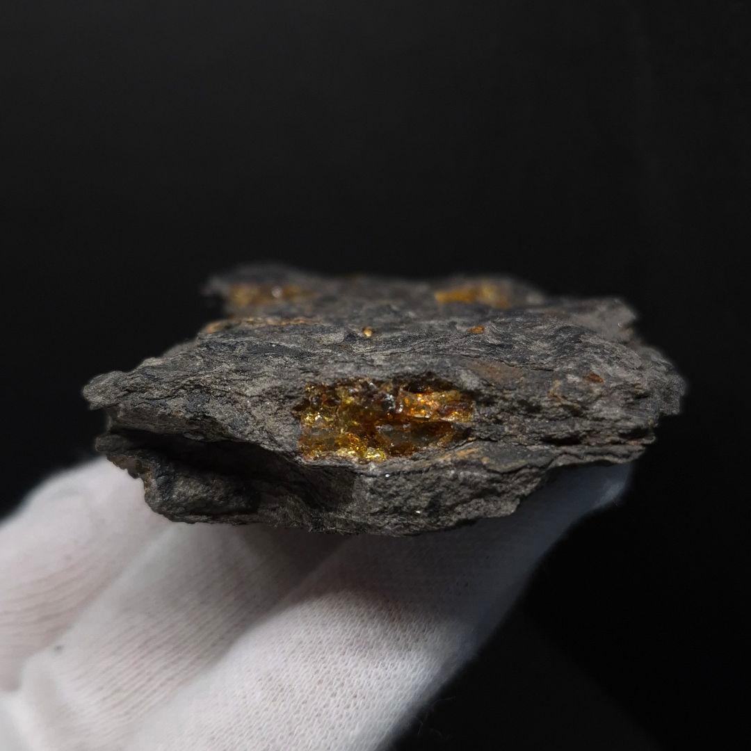 母岩付き 琥珀 化石 本物 87.71mm fab1