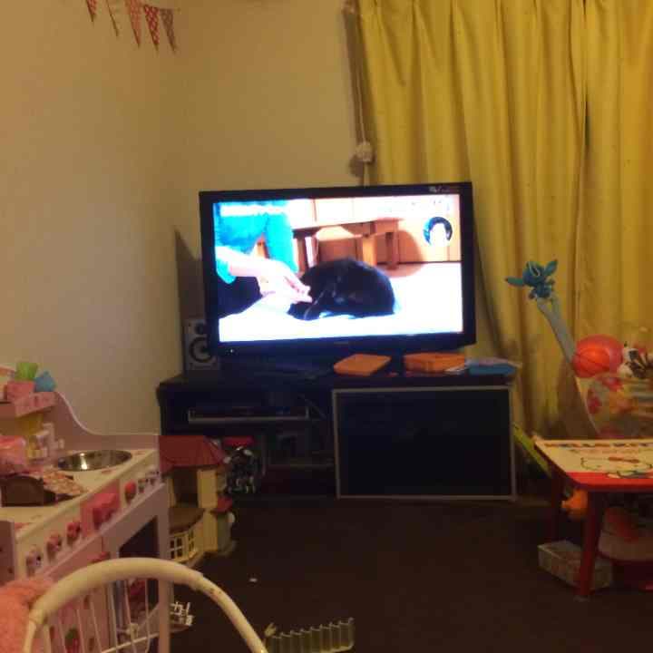 オリオンのテレビ 000000035393-01.jpg?size=m&w=