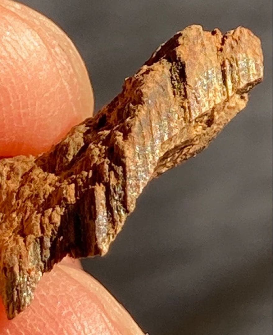 シャム　香木　お香　天然沈香 香木/香原料『極品沈香(馬蹄型シャム沈香)【刻】6g木箱入』精華堂