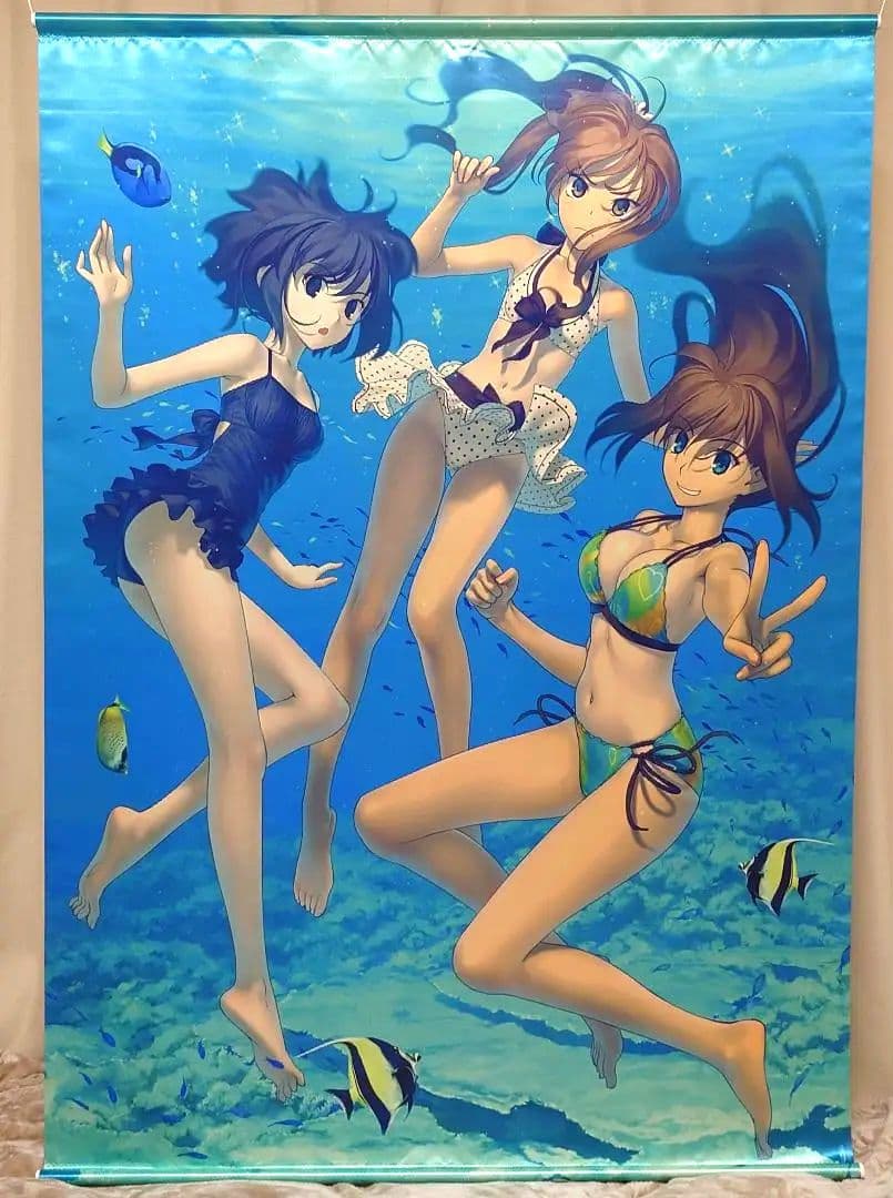 魔法使いの夜 特大B0タペストリー 通販限定 蒼崎青子 久遠寺有珠 久万